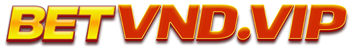 vnbetvnd.net Logo